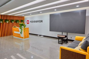 今日頭條助力西藏雙創(chuàng)事業(yè)蓬勃發(fā)展 創(chuàng)業(yè)空間服務注入新活力