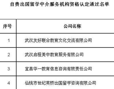 湖北公布自費留學中介機構名單，為學子鋪就透明安全的求學之路